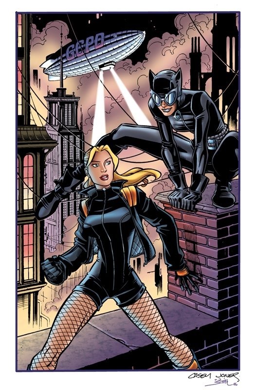 Catwoman And Black Canary In Tom Smith 30 Year Veteran Professional Colorist S Artists My